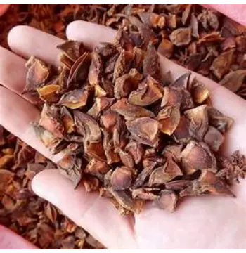 Fresh Sky Fruit Seeds